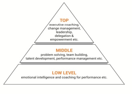Levels in Management